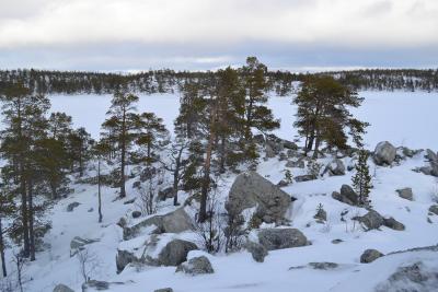 post-7299-0-39269700-1425628436_thumb.jp