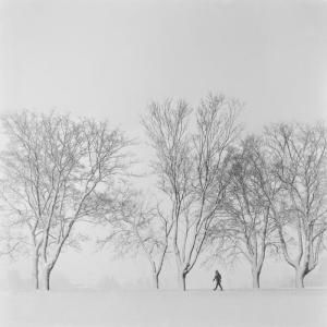 post-8581-0-01341100-1425639286_thumb.jp