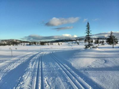 post-9055-0-38705000-1425419511_thumb.jp