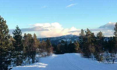 post-9055-0-72360400-1425419709_thumb.jp