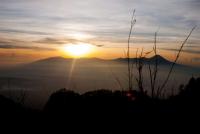 post-10866-0-41267100-1367177391_thumb.j