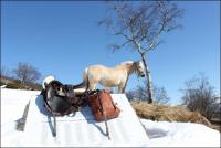 post-11179-0-00123600-1364838848_thumb.j