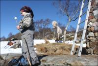 post-11179-0-05599300-1364838976_thumb.j