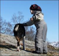 post-11179-0-58011500-1364839059_thumb.j