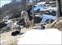 post-11179-0-82924000-1364838793_thumb.j