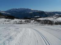 post-12082-0-04953600-1364844929_thumb.j