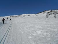 post-12082-0-48171500-1364844959_thumb.j