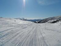 post-12082-0-49782300-1364845391_thumb.j