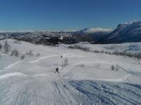 post-12082-0-52094400-1364845474_thumb.j