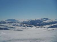 post-12082-0-99324300-1364845134_thumb.j