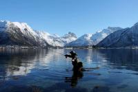 post-1942-0-65752300-1366749597_thumb.jp