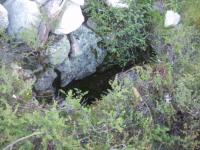 post-6671-0-06240400-1364907987_thumb.jp