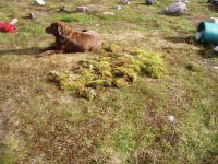 post-6671-0-67223800-1365072952_thumb.jp