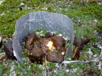 post-6671-0-70802000-1365012547_thumb.jp