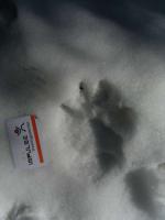 post-6789-0-01159500-1367087368_thumb.jp