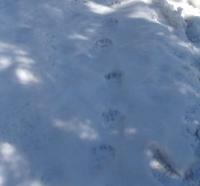 post-6789-0-41719500-1367087495_thumb.jp