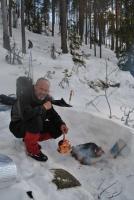 post-7129-0-82576500-1365162906_thumb.jp