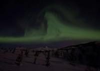 post-7957-0-28450900-1365271360_thumb.jp