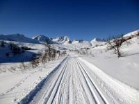 post-7957-0-45206400-1365271388_thumb.jp