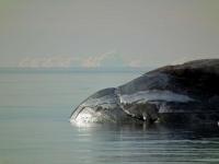 post-7957-0-63976600-1365271329_thumb.jp