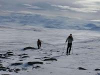 post-7957-0-88375900-1365271302_thumb.jp