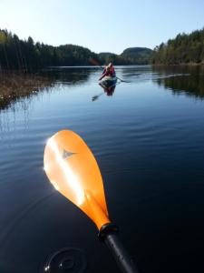 post-11774-0-03067400-1398716863_thumb.j