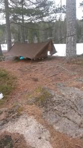 post-11911-0-04956000-1396703577_thumb.j