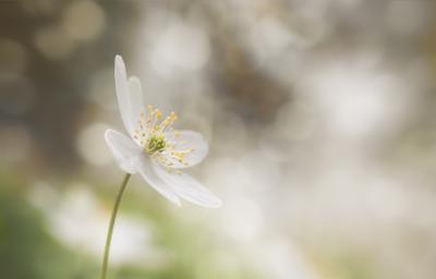 post-12278-0-07178700-1398505418_thumb.j