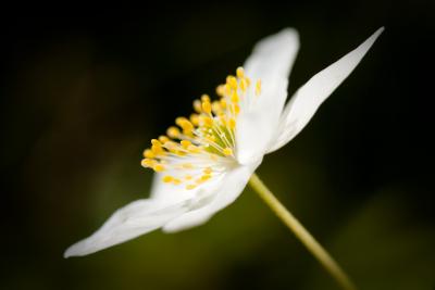 post-12278-0-65726400-1398505526_thumb.j