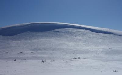 post-12371-0-05098500-1397851618_thumb.j