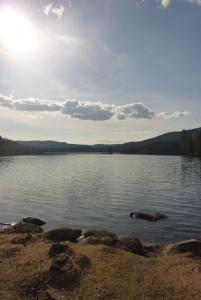 post-12580-0-06373400-1398635101_thumb.j