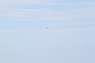 post-14188-0-79756400-1398016514_thumb.j