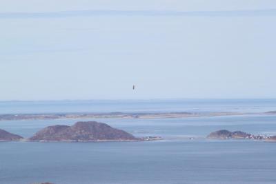 post-14188-0-96287300-1398016531_thumb.j