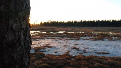 post-14354-0-83422200-1396737755_thumb.j