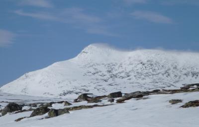 post-1735-0-90621300-1398157847_thumb.jp