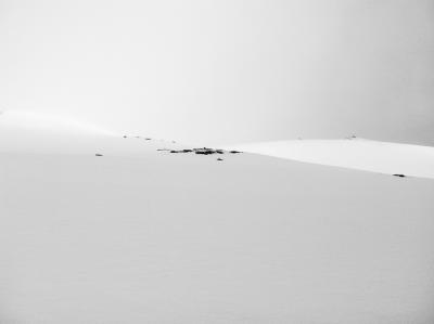 post-3941-0-81410800-1397054187_thumb.jp