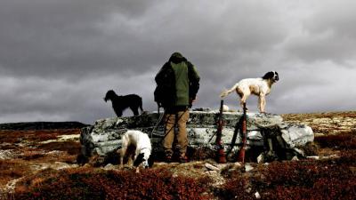 post-4016-0-26498400-1397188735_thumb.jp