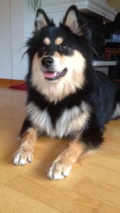 post-4078-0-68290200-1398409333_thumb.jp