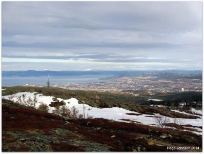 post-4444-0-66569300-1396806228_thumb.jp