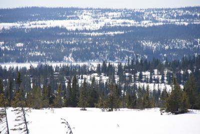 post-4639-0-33927400-1398628491_thumb.jp