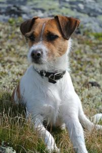 post-6469-0-83127500-1397766303_thumb.jp