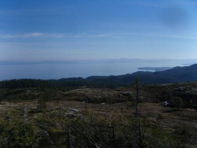 post-6789-0-01464400-1398619547_thumb.jp