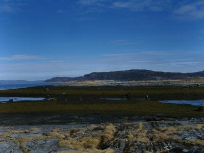 post-6789-0-07013700-1398067611_thumb.jp