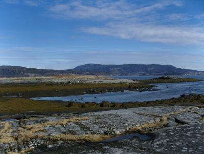 post-6789-0-15009500-1398067572_thumb.jp