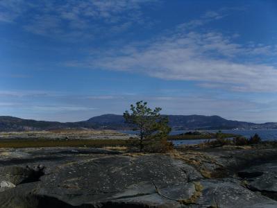 post-6789-0-33221300-1398068175_thumb.jp