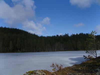 post-6789-0-34447800-1397845331_thumb.jp