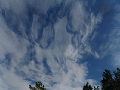 post-6789-0-42604500-1398068035_thumb.jp