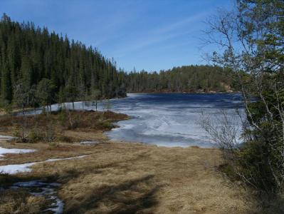 post-6789-0-43411800-1398620267_thumb.jp