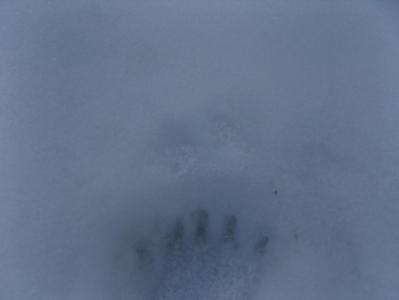 post-6789-0-66506100-1397845939_thumb.jp