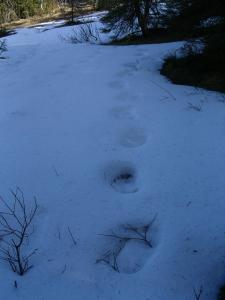 post-6789-0-71595200-1398621730_thumb.jp